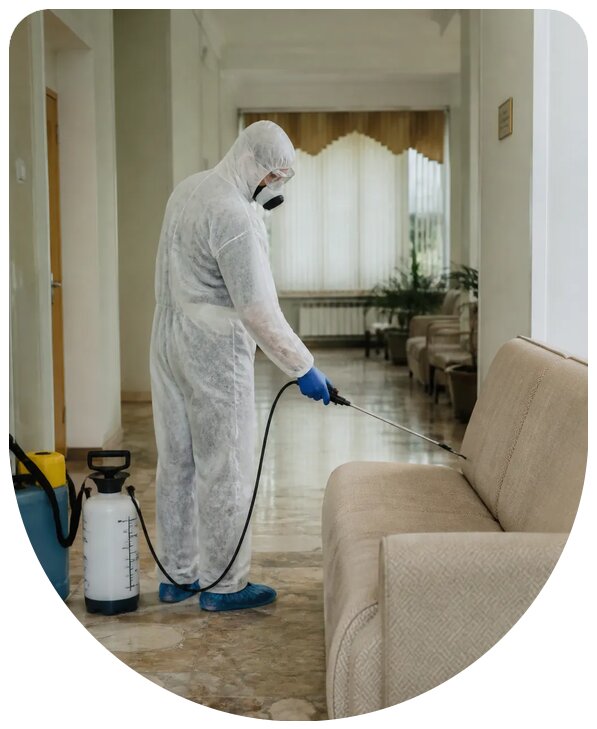 Дезинсекция санатория в Шатуре с гарантией результата